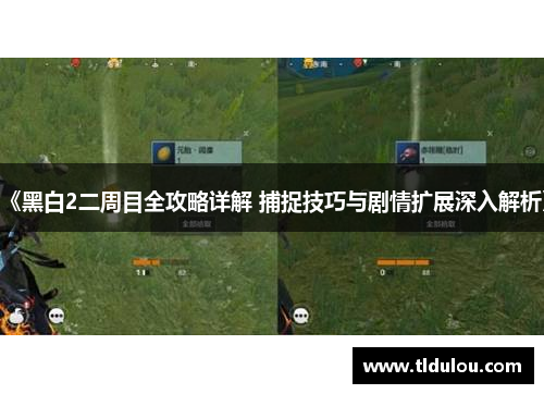 《黑白2二周目全攻略详解 捕捉技巧与剧情扩展深入解析》