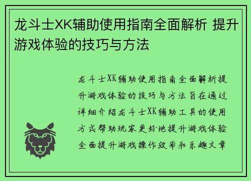 龙斗士XK辅助使用指南全面解析 提升游戏体验的技巧与方法